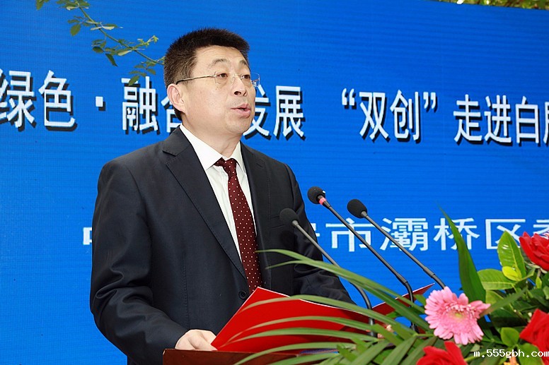 1476435045462537y5La.jpg 灞桥区委书记.jpg