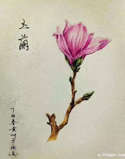 1491474735848244Gz76.png QQ图片20170406183205.png