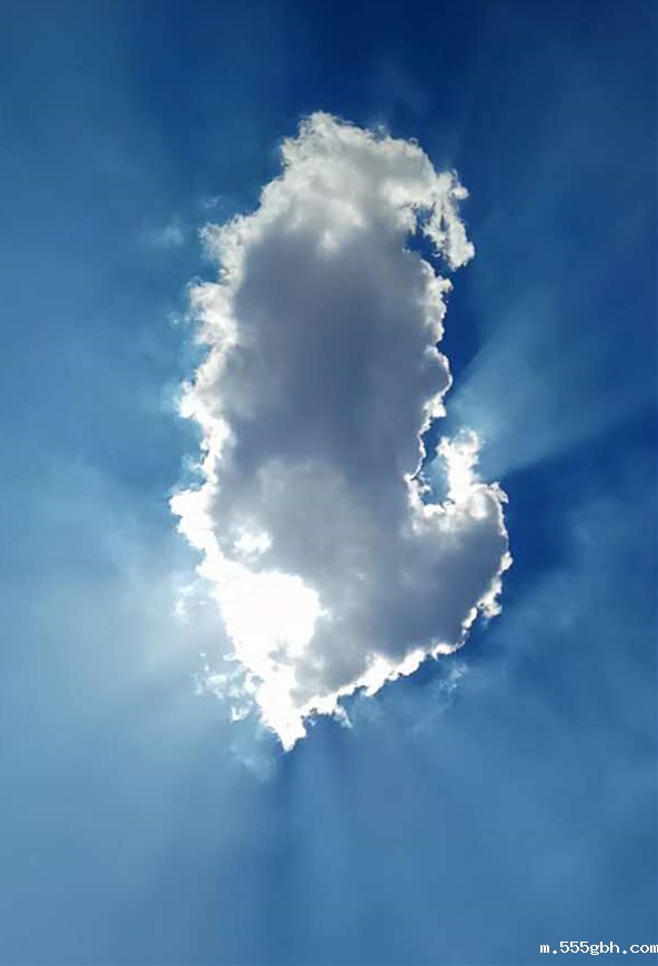 1497841064799736kZIt.jpg 美的不像样.jpg