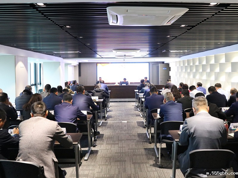 1616396359405273BXSZ.jpg 集团会议全景_副本.jpg