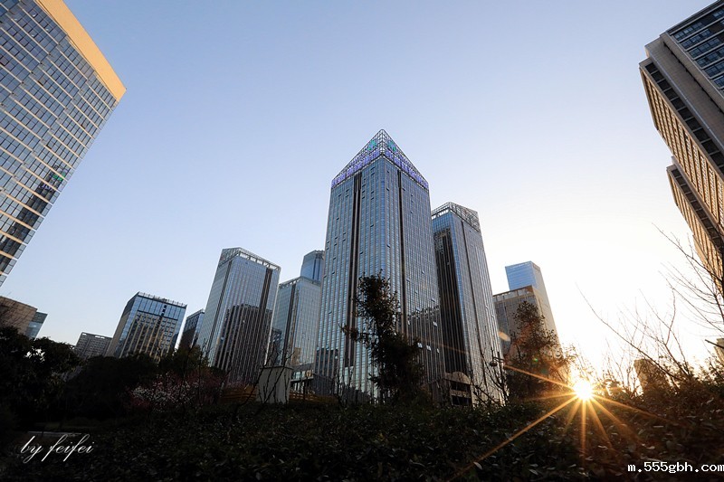 1669260278929159cnv5.jpg 7G6A1431_副本.jpg