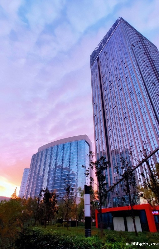 1710215918525905OyqZ.jpg 集团晨曦_副本_副本.jpg