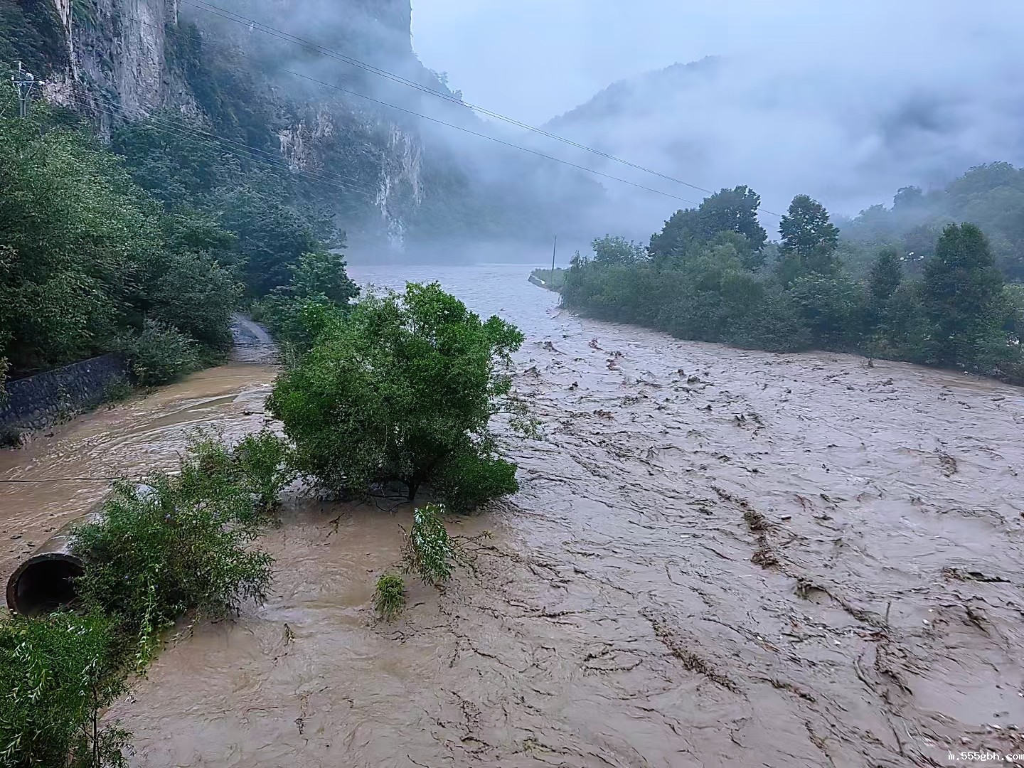 17213728875312270Wjj.jpg 微信图片_20240719150530.jpg