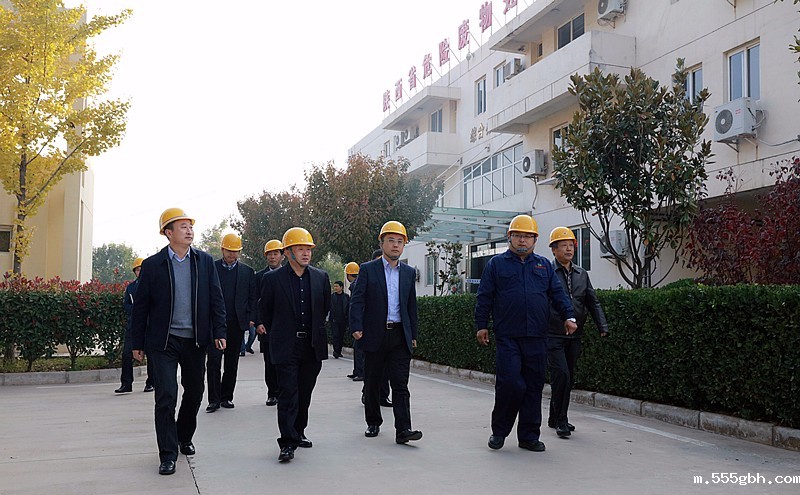 14782589776589646cLW.jpg 礼泉1.jpg