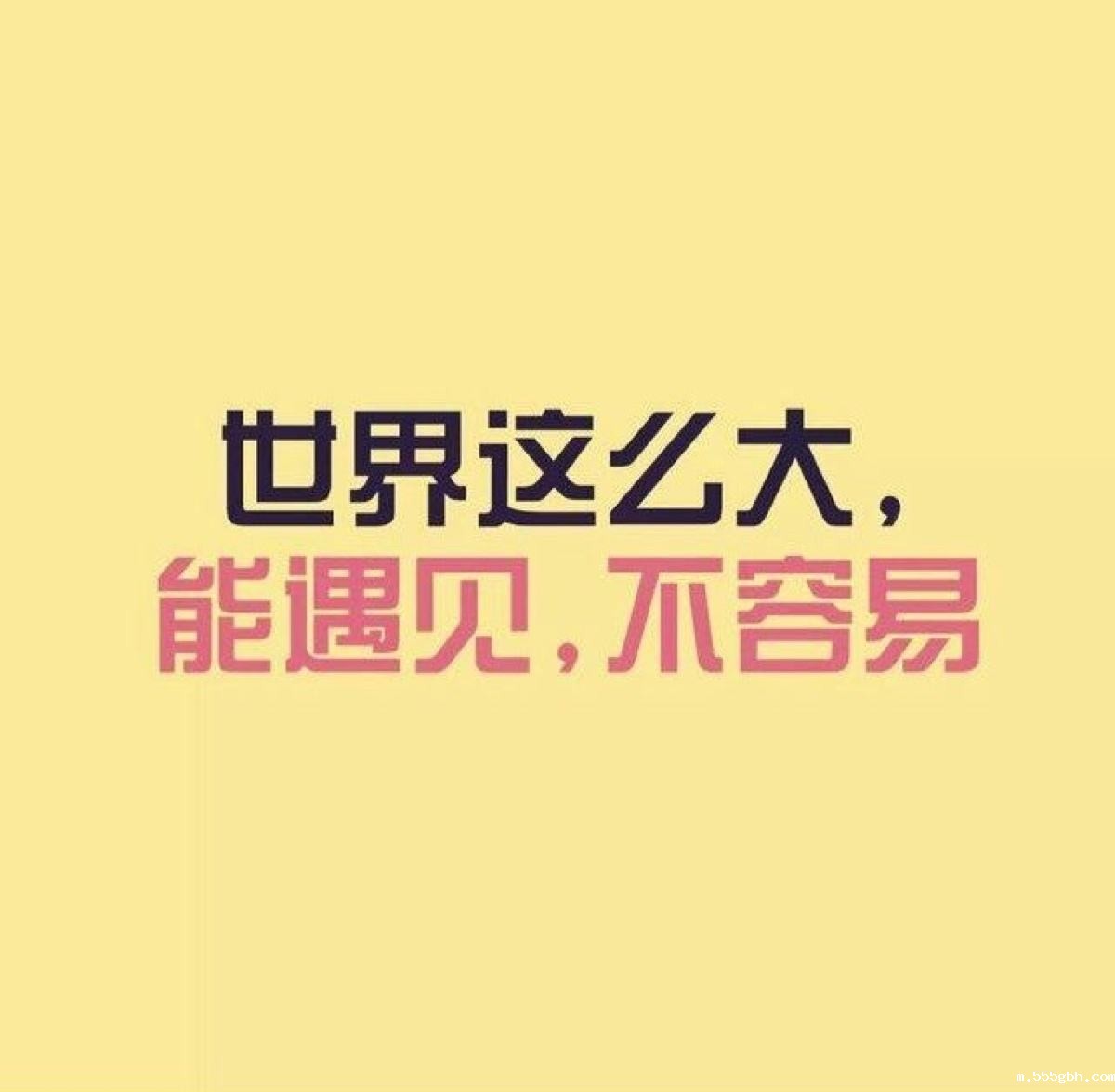 1502106447965865hlwH.jpg timg (1).jpg