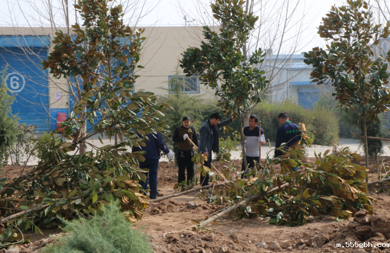 1521009740370628MEg0.png QQ图片20180314075028.png