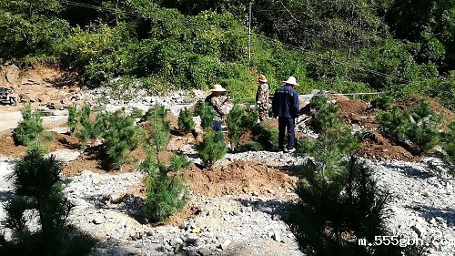 1536622516948597MwqF.jpg 图片2.jpg