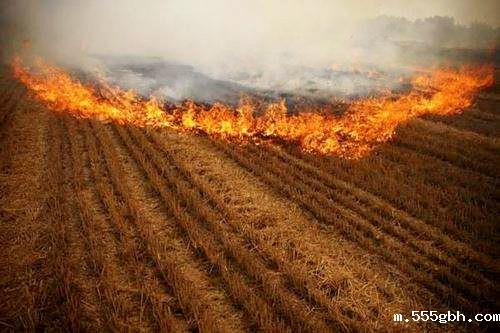 1540487305103185eLpz.jpg timg (5)_副本.jpg