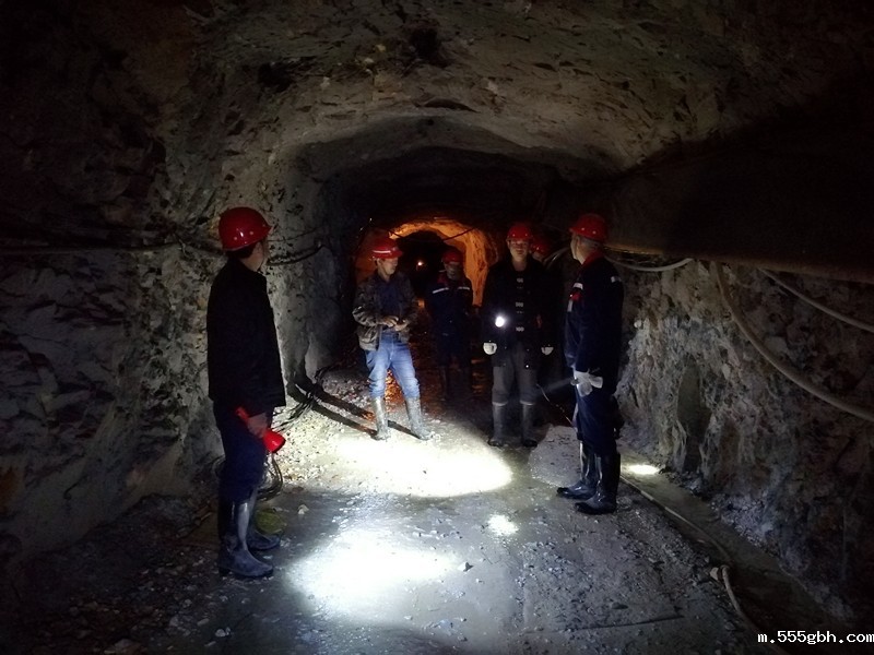 1548377603652645BTvq.jpg 图片1_副本_副本.jpg