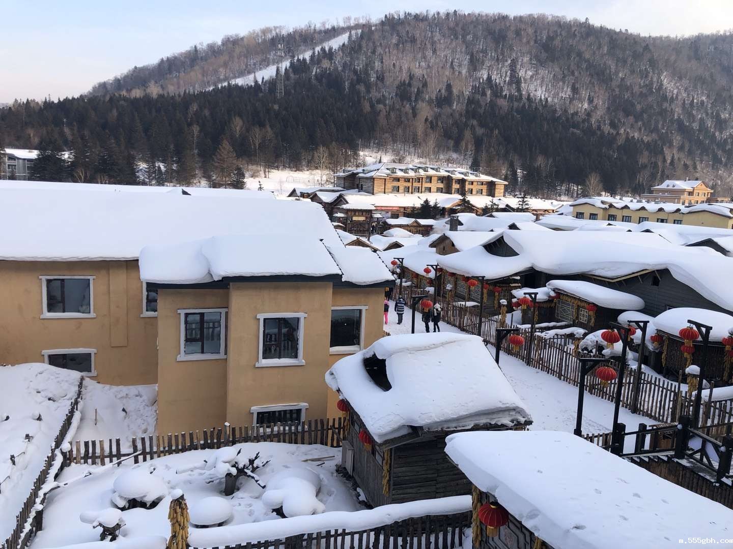 1550017387613013TMpg.jpg 微信图片_20190211075017.jpg