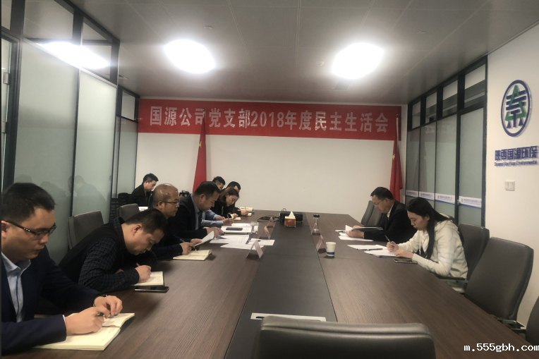 1553126863655338S2qo.png 国源公司2018民主生活会.png