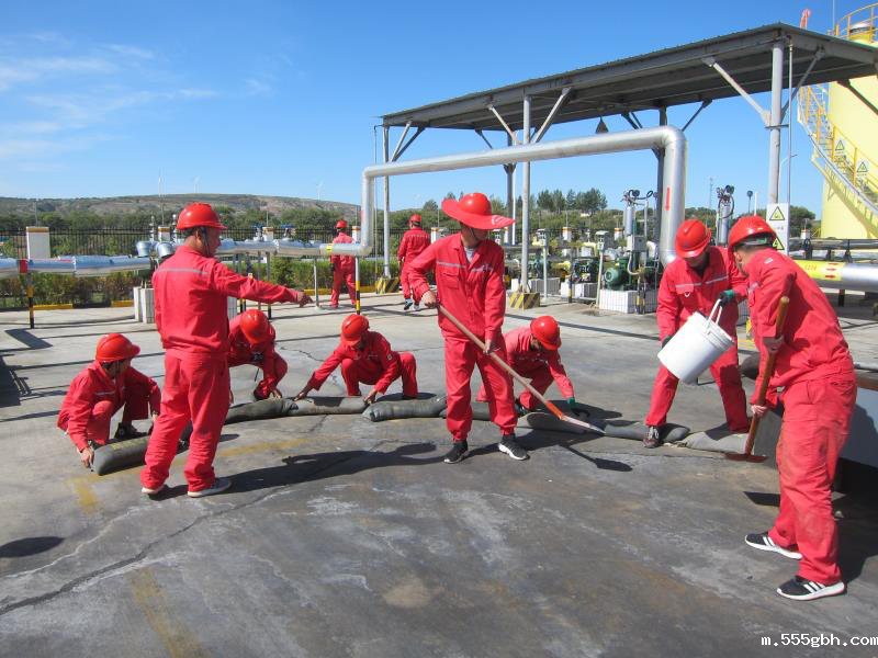 1601424756683366Sfs8.png 图片2.png