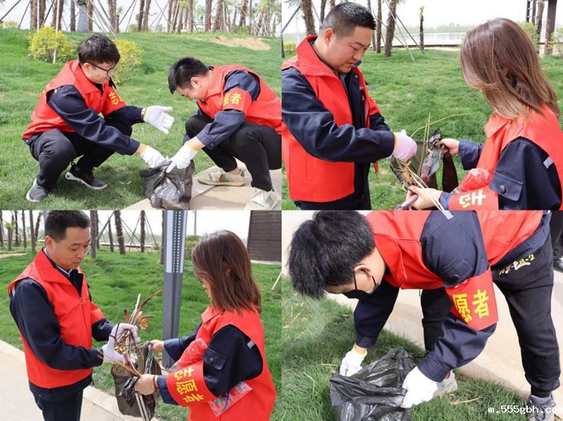 161914226916404511XD.jpg 绿能3_副本.jpg