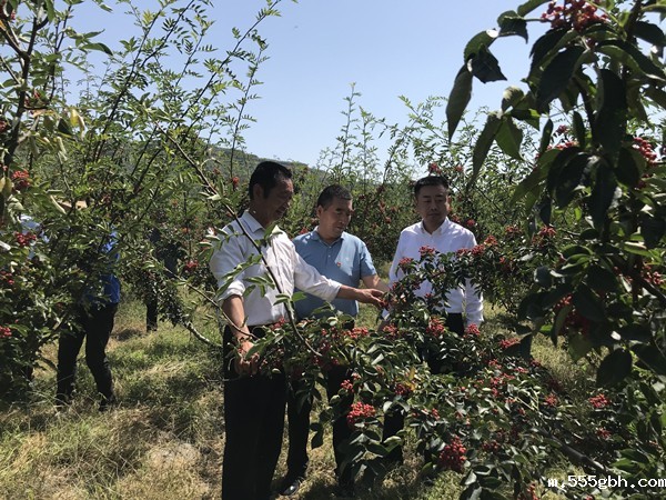 1631233568733032kQQ7.jpg 扶贫_副本.jpg