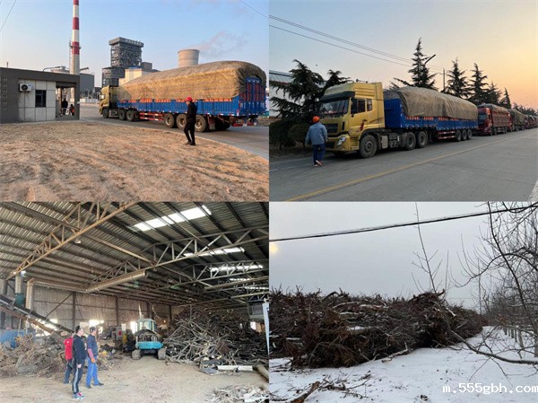 16460982454205961nXA.jpg 绿色能源.jpg