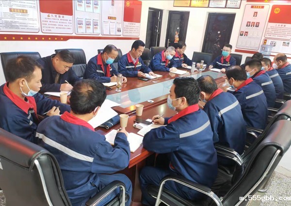 16486923175868673EXu.jpg 鼎丰矿业一季度党员大会_副本.jpg