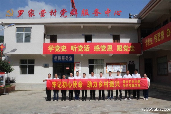 1656470467152458ZfHt.jpg 鼎丰矿业公司开展“牢记初心使命 助力乡村振兴”主题党日实践活动.jpg