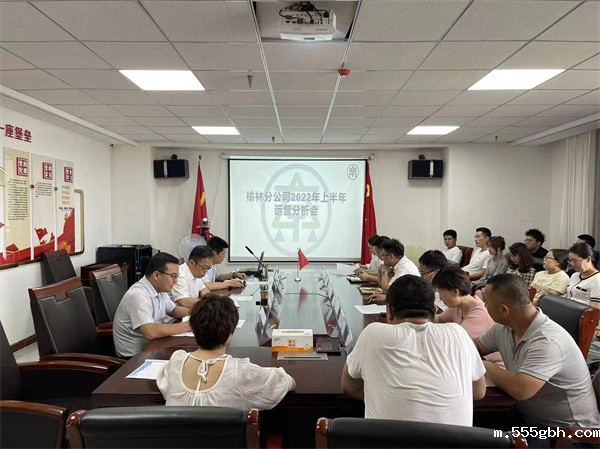 1658109581214298Gvid.jpg 榆林分公司召开2022年度上半年运营分析会照片.jpg