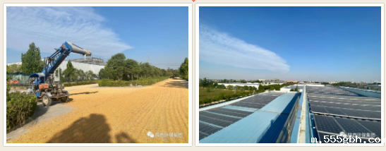 16655372513651131vpz.png 55b13fbb72a50b90f3d2779ff5b9339.png