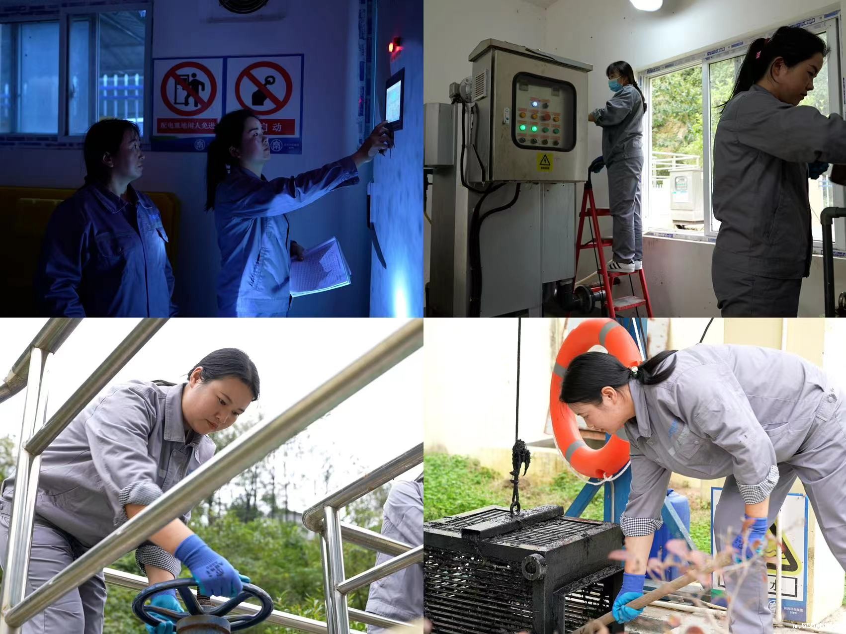 1699837737394162W1mt.jpg 图片拼图.jpg