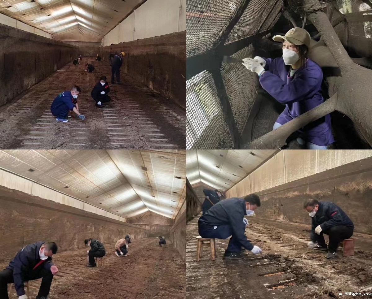 1700013148917077JZ7Z.jpg 2 (1).jpg