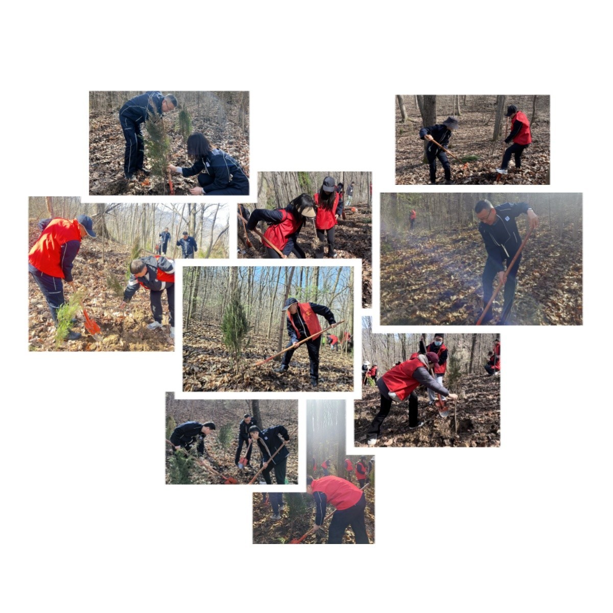 1710211027147684xWBq.jpg 植树活动现场.jpg