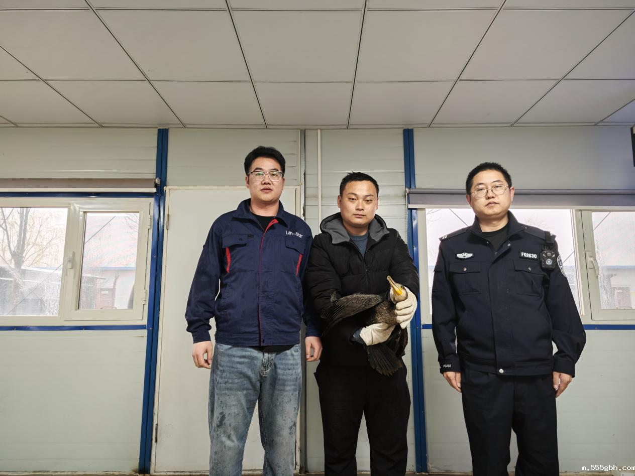 17124553693457718Odm.png 动物救助移交现场照片 (1).png