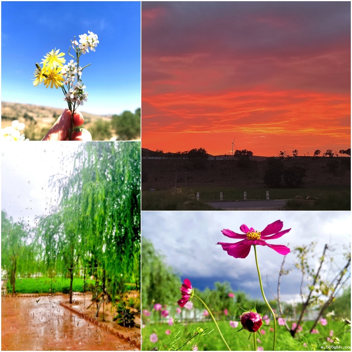 1723511239330256Je3C.jpg 我与这座山的故事.jpg