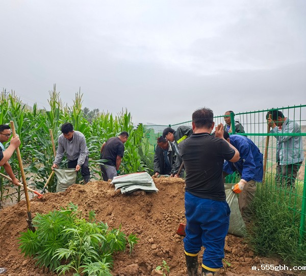 1754624496936266DsJX.jpg 防汛照片1_副本.jpg